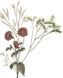 Image de fleurs